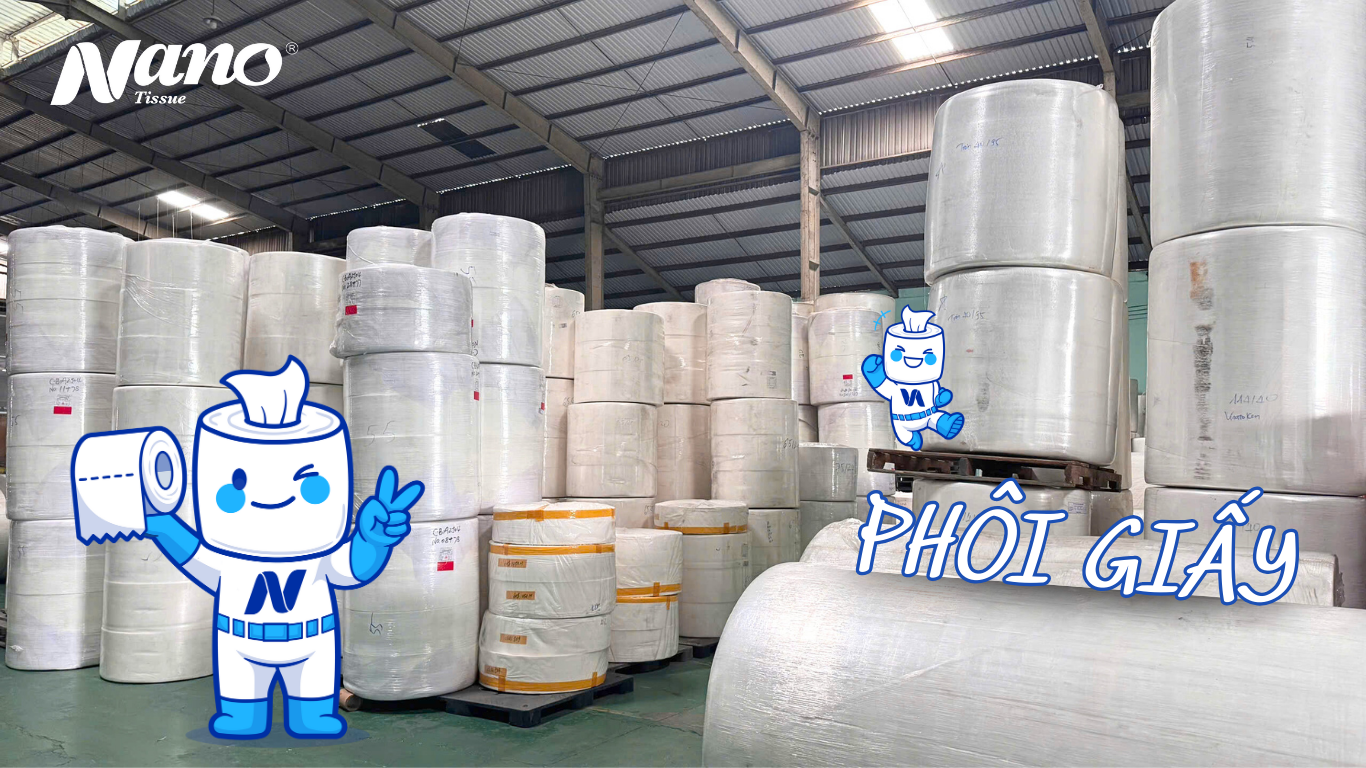 Phôi giấy là gì? Lợi ích khi mua phôi giấy vệ sinh uy tín