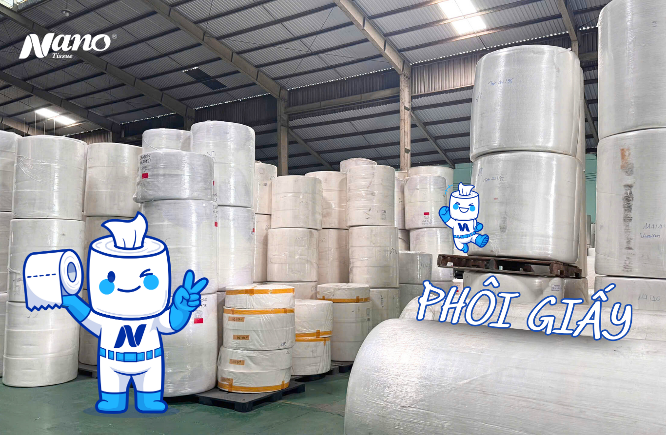 Phôi giấy là gì? Lợi ích khi mua phôi giấy vệ sinh uy tín