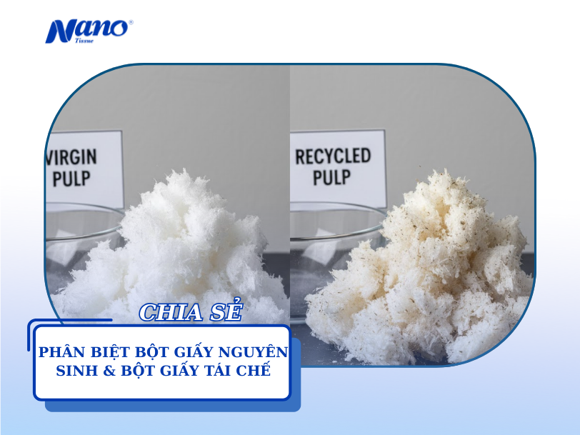Phân biệt khăn giấy bột giấy nguyên sinh và giấy tái chế: Cách nhận biết bằng mắt thường