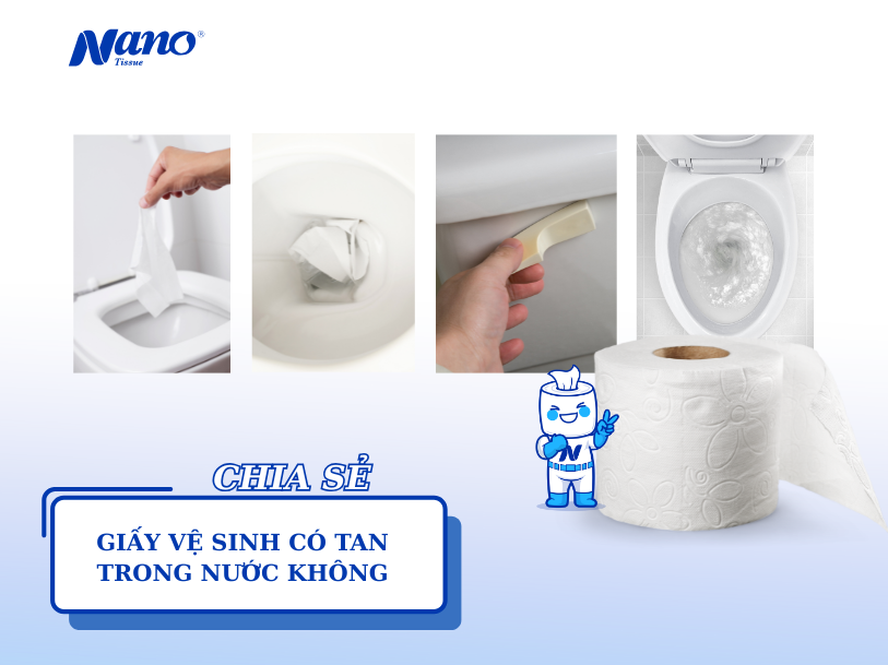 Giấy vệ sinh có tan trong nước không? Cách chọn loại dễ phân hủy, tránh tắc bồn cầu
